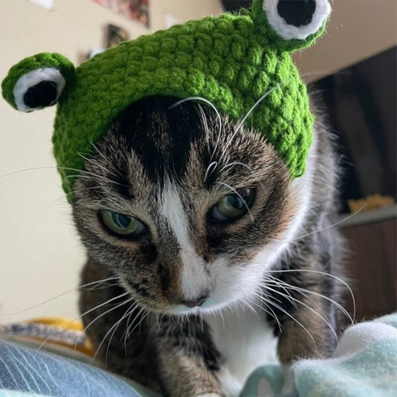 Knitted Wool Pet Hat Photo  Frog Headdress