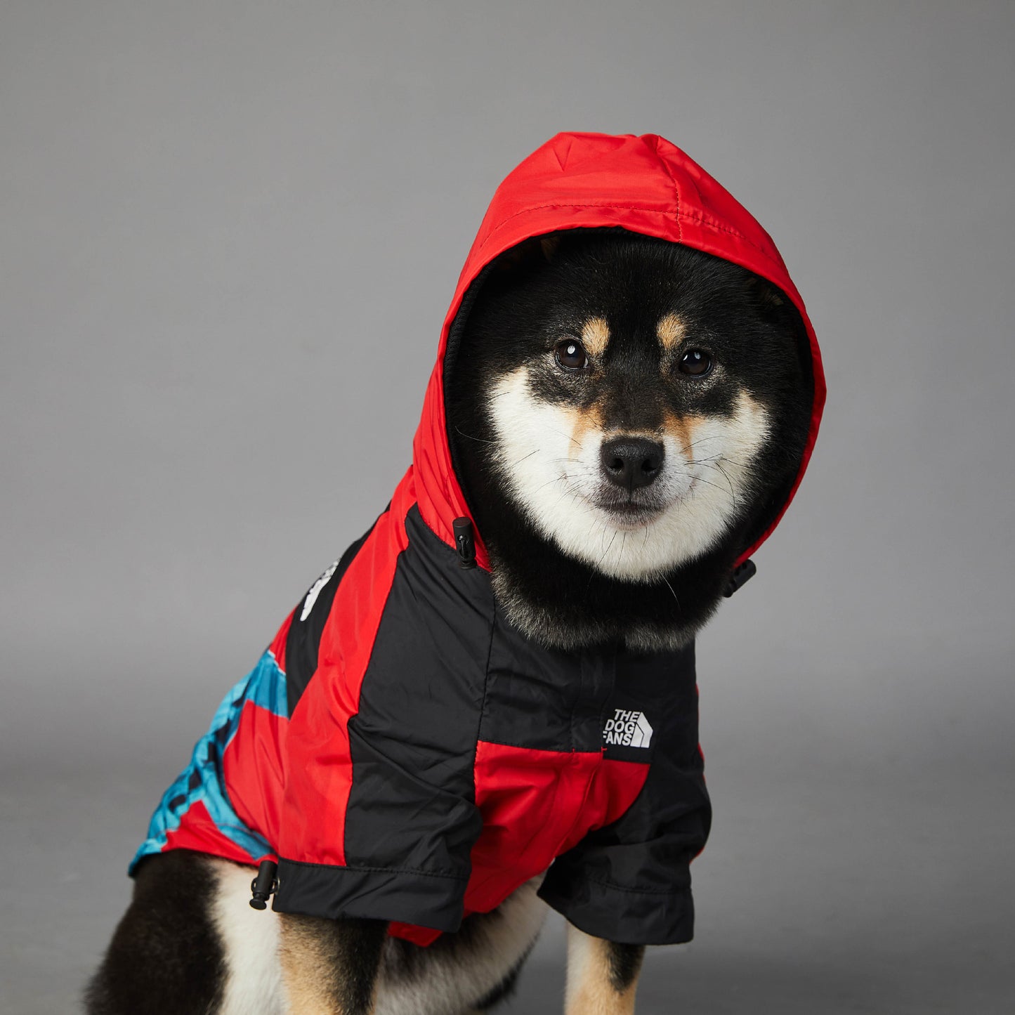 Windproof And Rainproof Dog Pet Shell Jacket