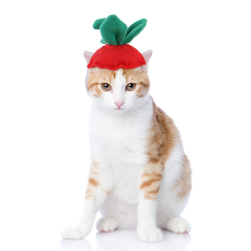 Curly Hair Pet Hat Cat Funny Dress Up Pet Products