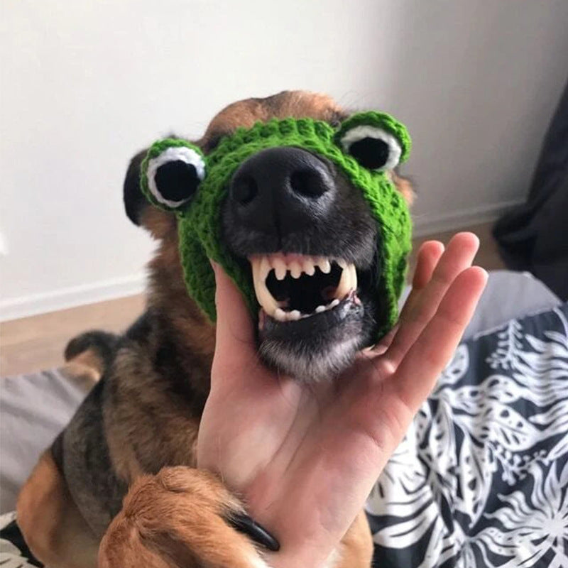 Knitted Wool Pet Hat Photo  Frog Headdress