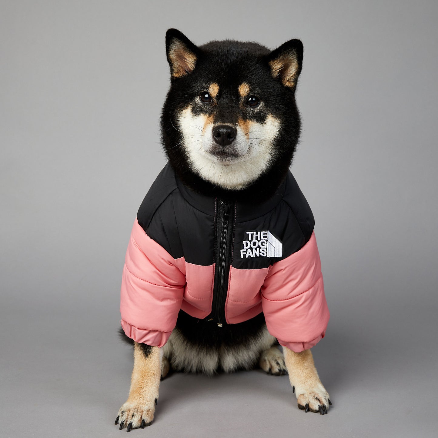 Windproof And Rainproof Dog Winter Warm Pet Cotton-padded Clothes